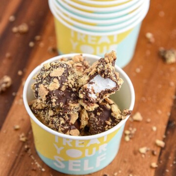 These S'more Marshmallows are a quick and easy kid friendly recipe and s'more dessert that can be used as party favors too! Fun Recipe!