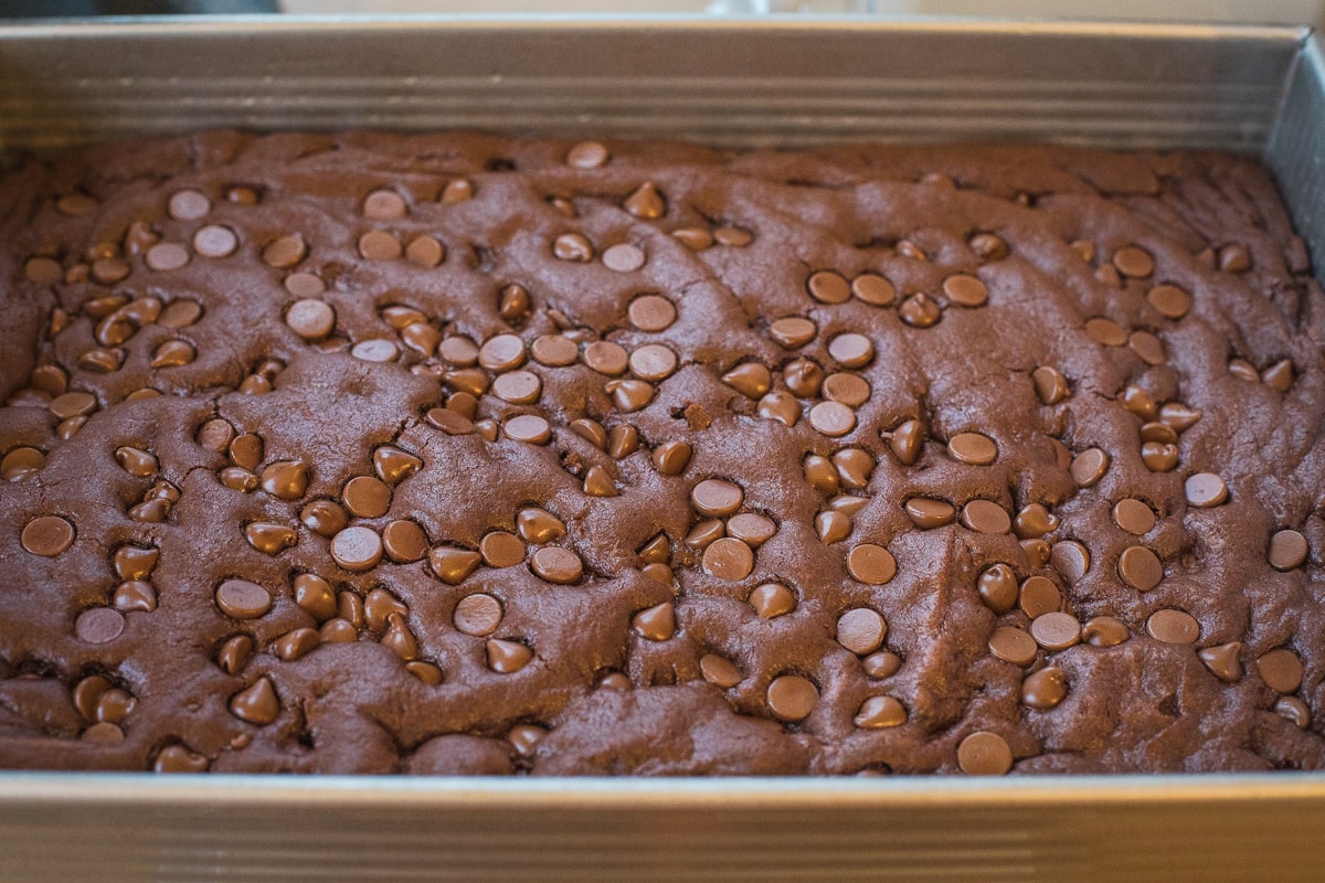 baked brownies in a 9x13 inch baking dish.