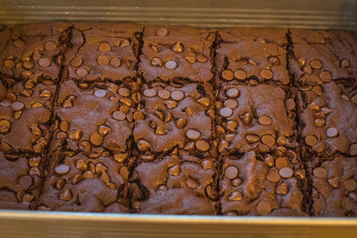 baked and sliced brownies in a 9x13 inch baking dish.