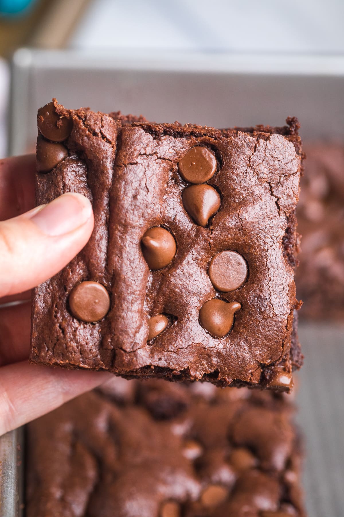 hand holding up a brownie with chocolate chips on top.