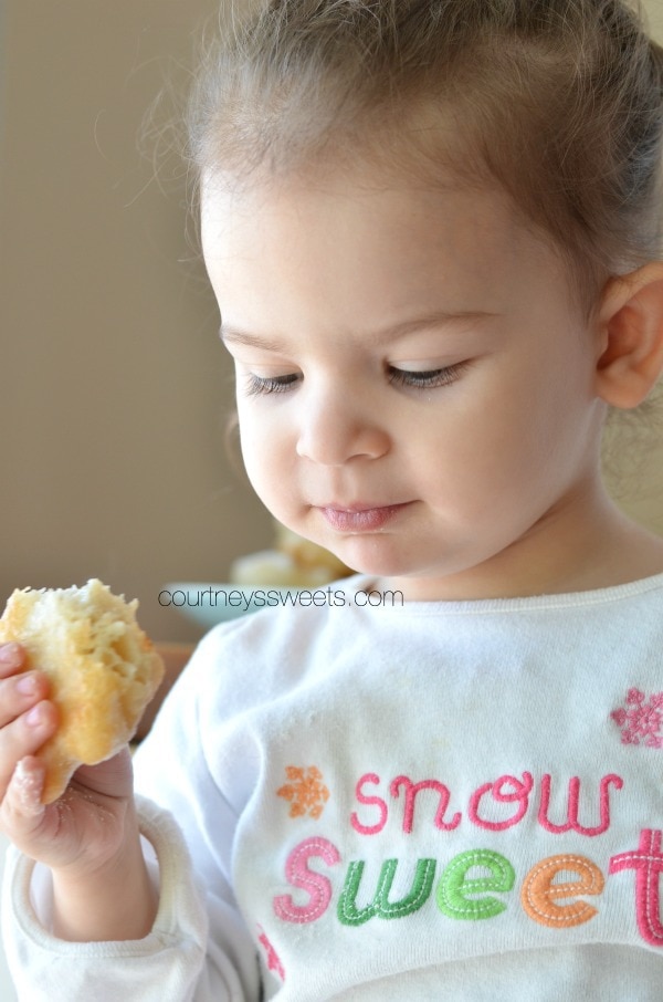 Homemade Fried Dough Zeppoles Recipe Without Ricotta