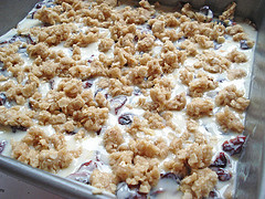 Chobani Cranberry Oatmeal Bars