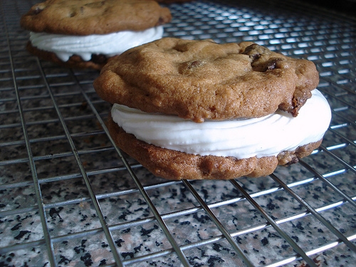 Chocolate Chip Ice Cream Sandwich