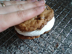 Chocolate Chip Ice Cream Sandwich