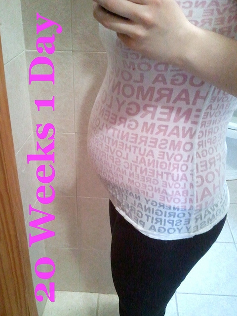 20 Weeks 1 Day