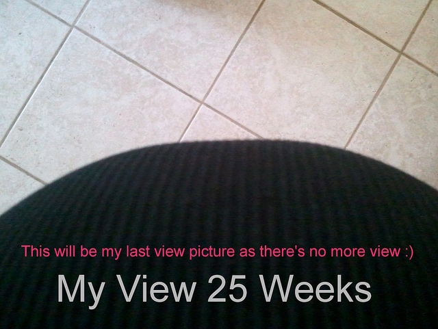My View 25 Weeks