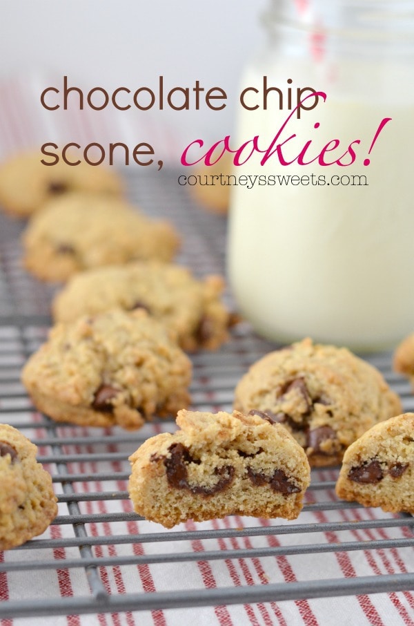 Chocolate Chip Scone Cookies