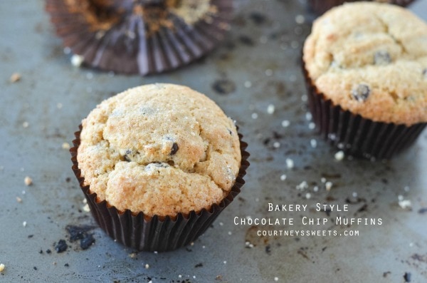 Bakery Style Chocolate Chip Muffins Recipe