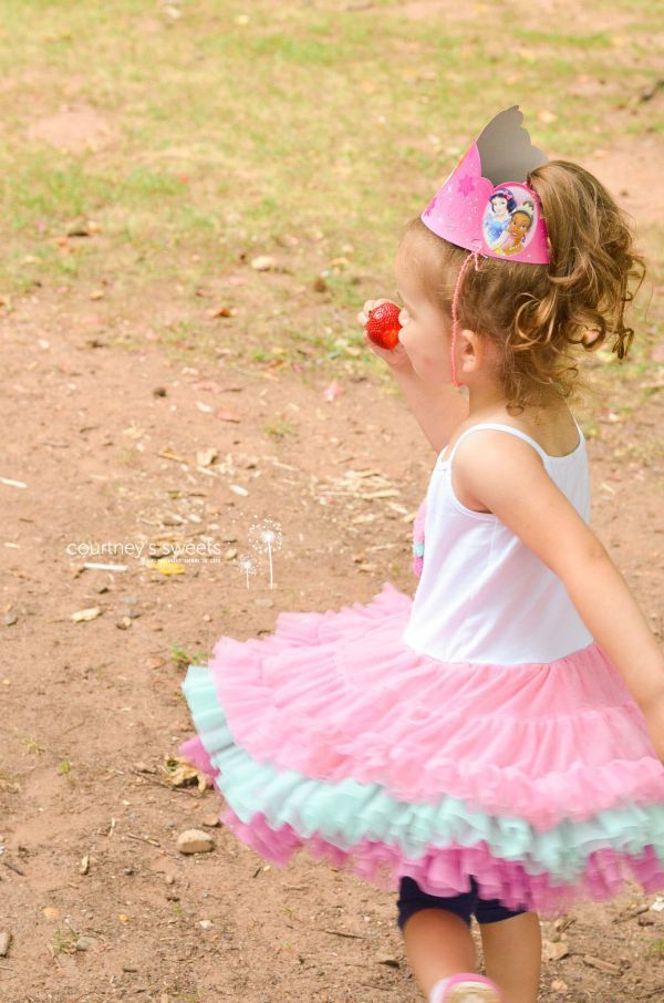 Toddler Disney Princess Birthday Party on a Budget