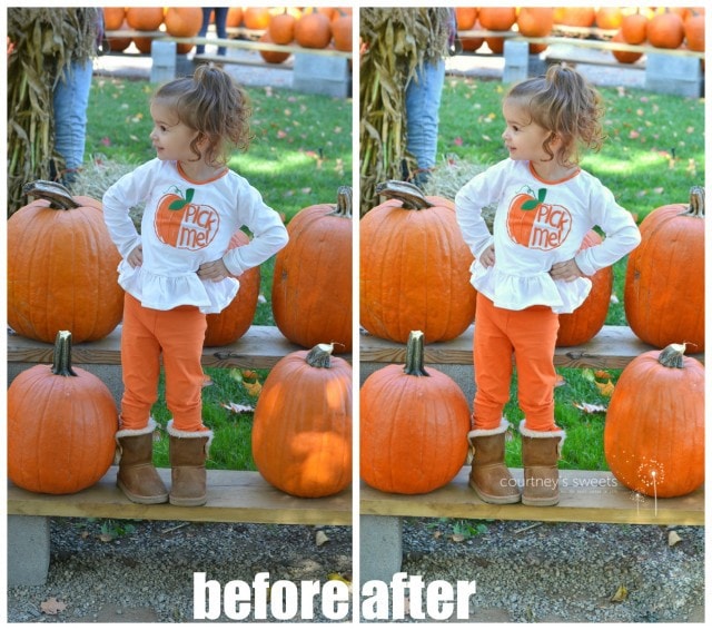 Editing Photos like a Pro with Adobe PhotoShop Elements 14