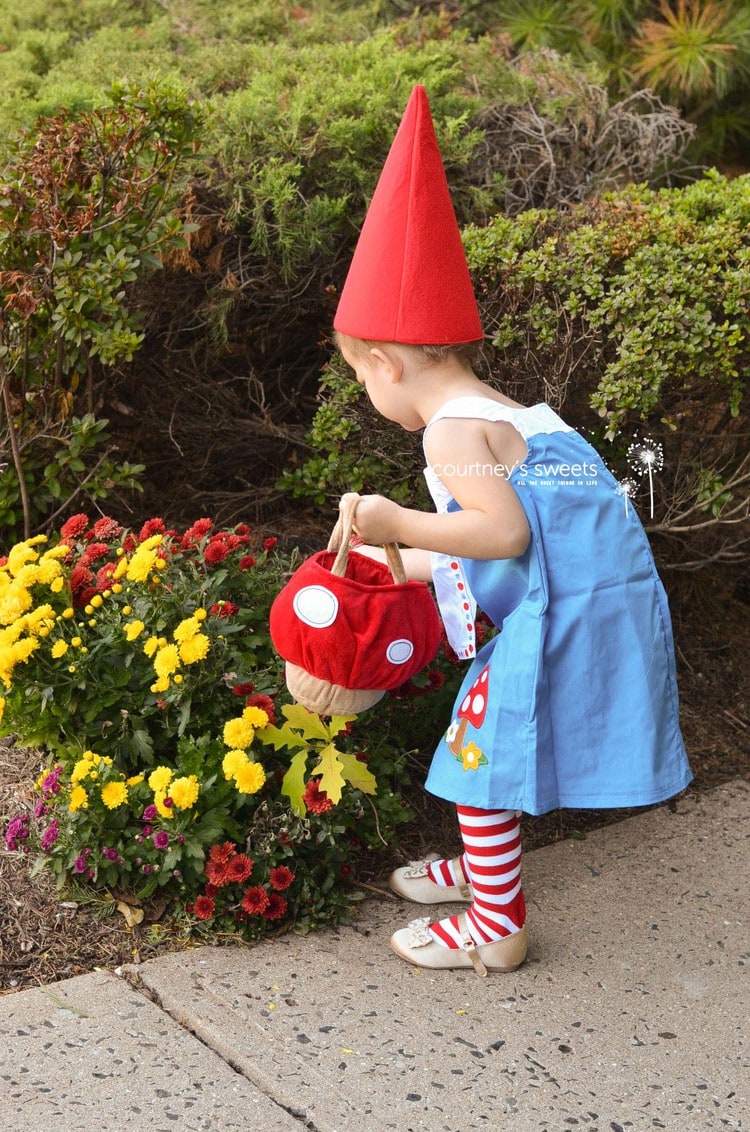 Baby girl gnome best sale costume