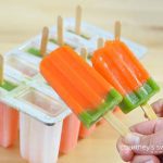 Fruits and Veggies Carrot Ice Pops using Fresh Fruit and Vegetable Juice