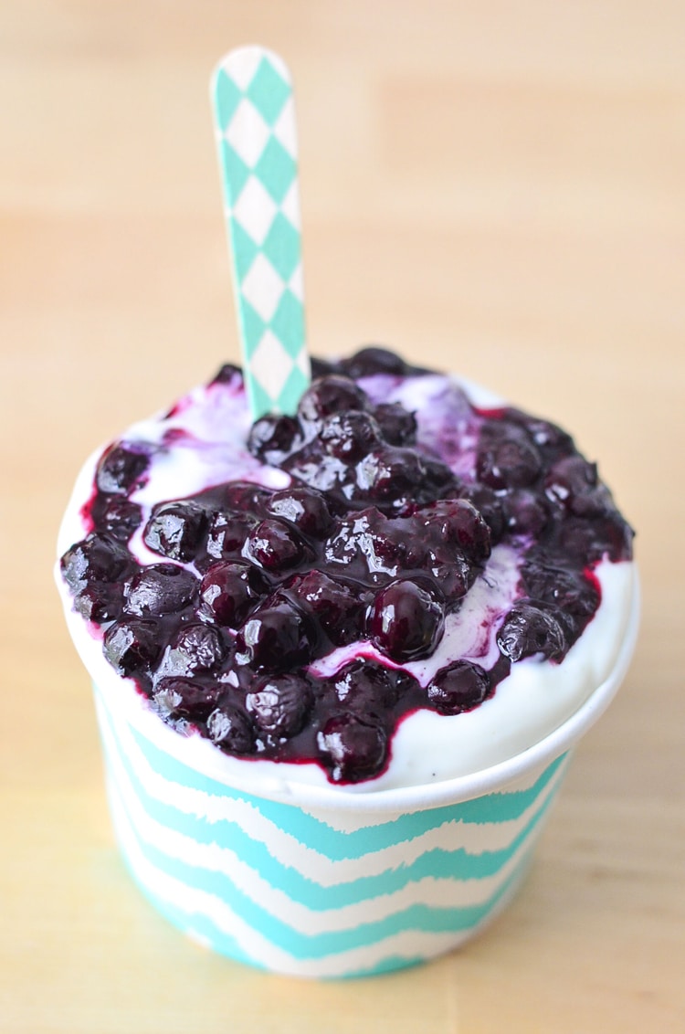 Semi Homemade Yogurt Recipe! We take delicious REAL food to make Blueberry Yogurt! Easy to make and a super healthy snack!