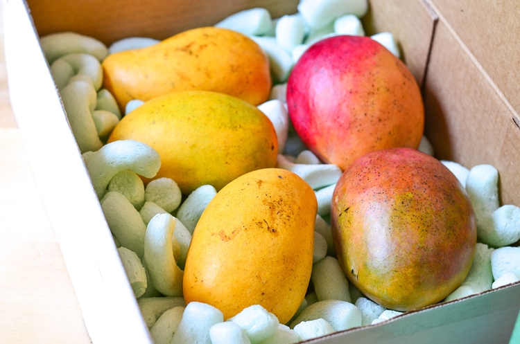 mango delivery