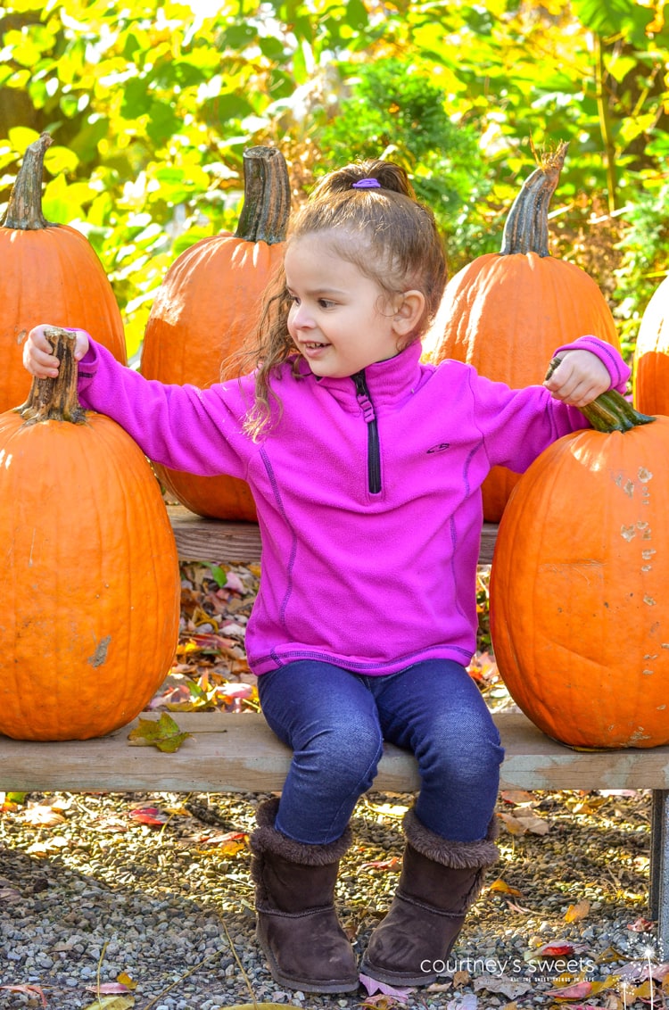 Family Fun at Abma's Farm in Wyckoff, NJ. We get messy and carry Wet Ones to clean our hands after the pumpkin patch and petting zoo. Clean hands, ready for apple cider and homemade donuts! 