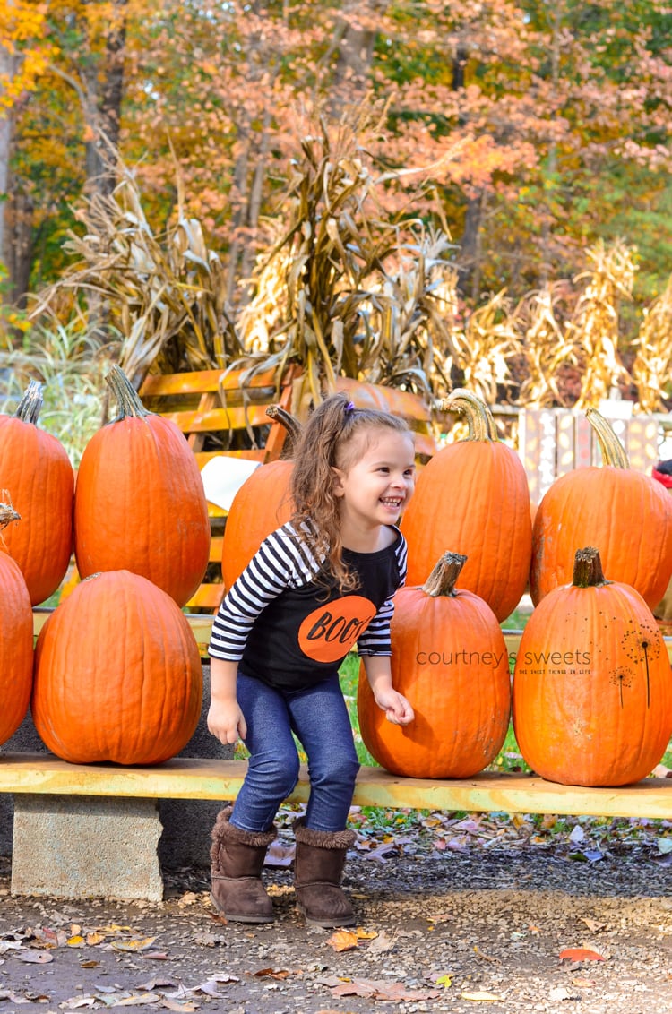 Family Fun at Abma's Farm in Wyckoff, NJ. We get messy and carry Wet Ones to clean our hands after the pumpkin patch and petting zoo. Clean hands, ready for apple cider and homemade donuts!