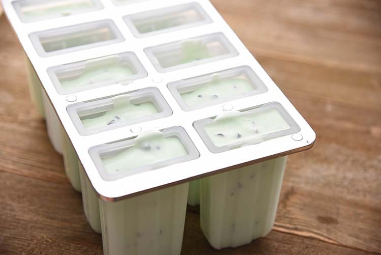 Mint Chocolate Chip Popsicles recipe