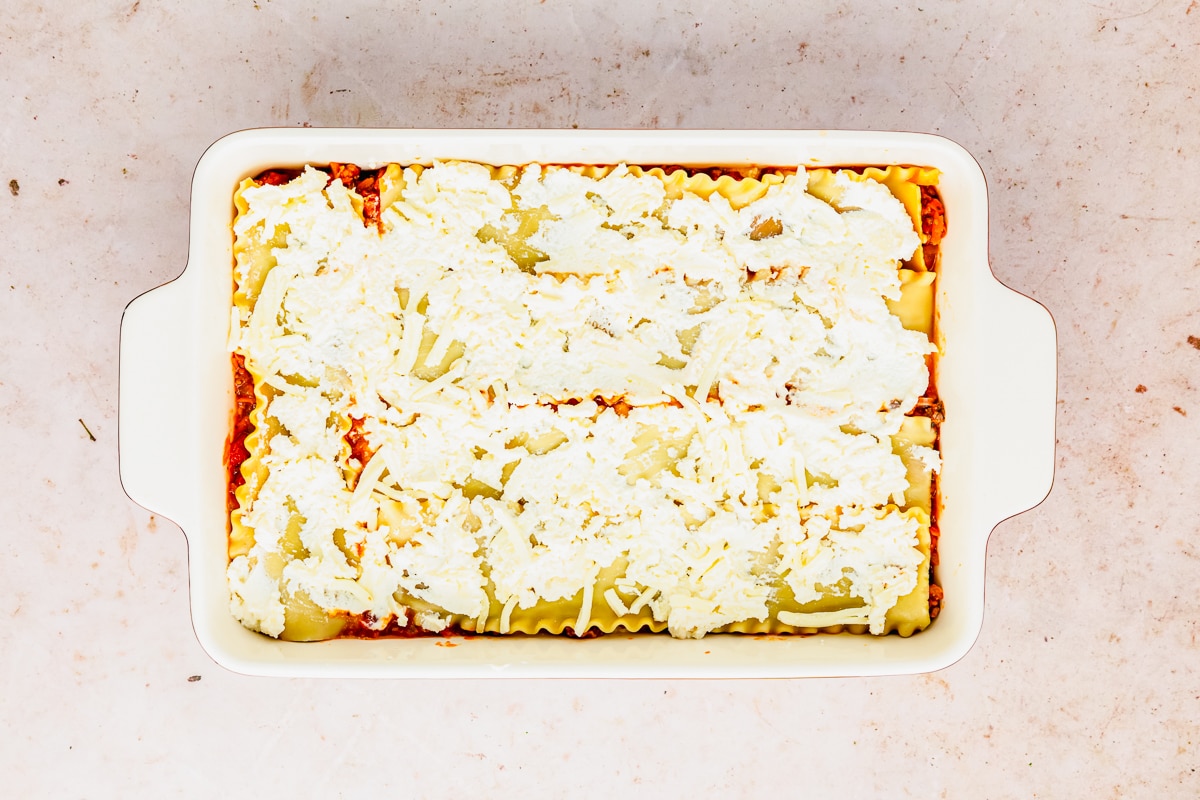 assembling lasagna bolognese ricotta cheese layer.