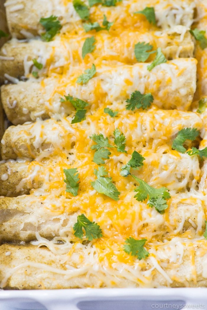 easy chicken enchilada recipe