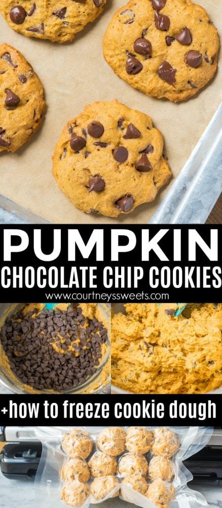 pumpkin chocolate chip cookies freezing dough