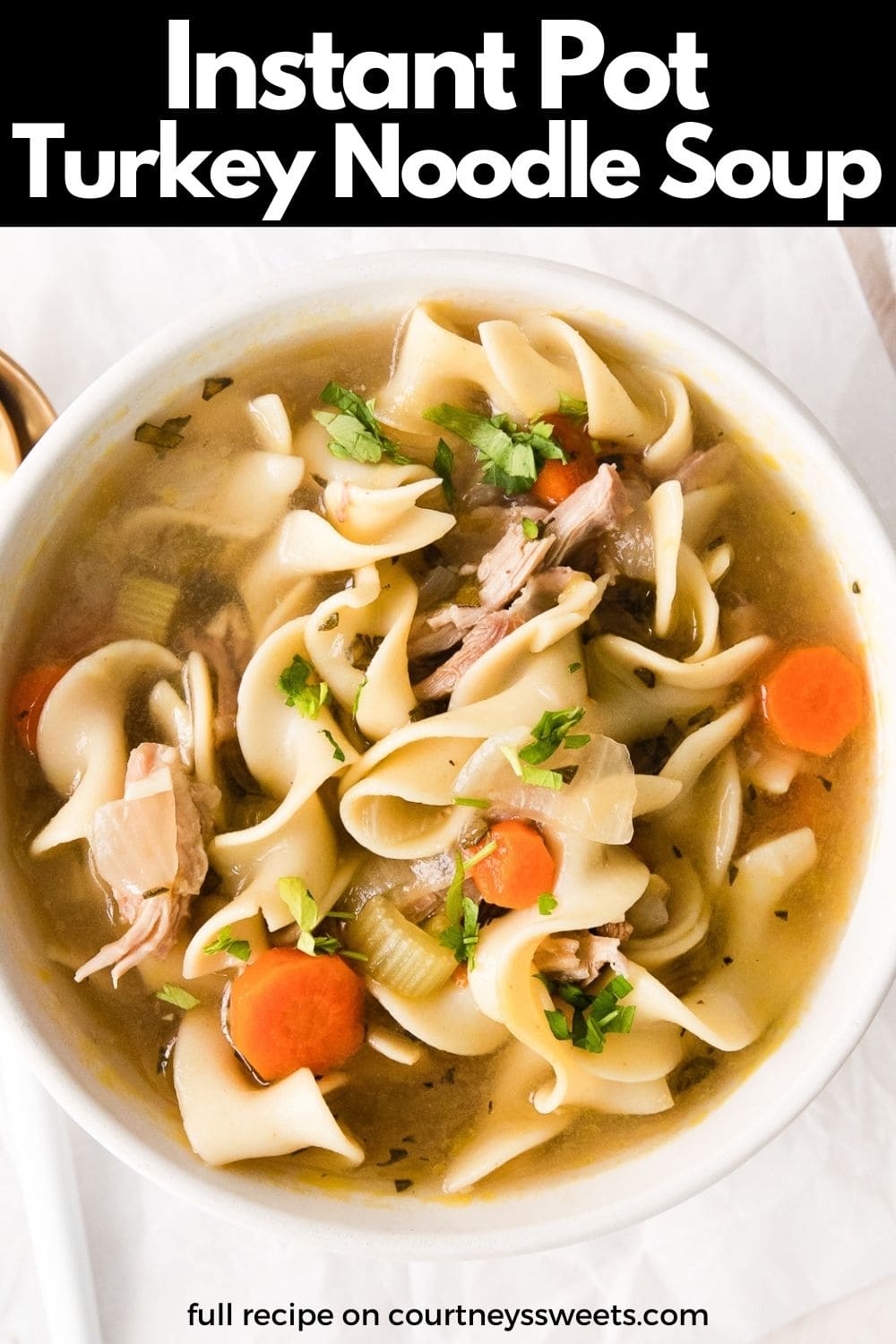 instant pot turkey noodle soup pinterest image