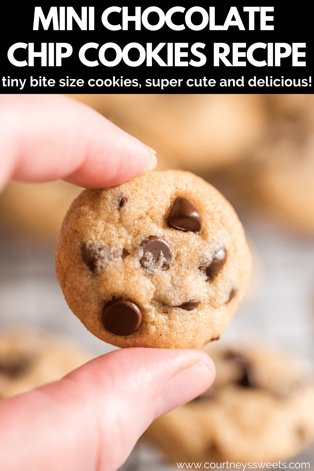 pointer and thumb finger holding a mini chocolate chip cookie with text on image pinterest pin.