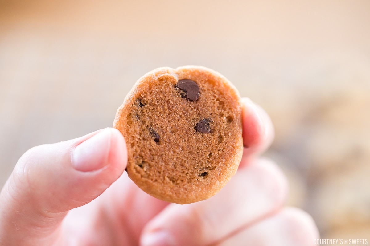 hand holding tiny cookie in hands bottom of cookie.