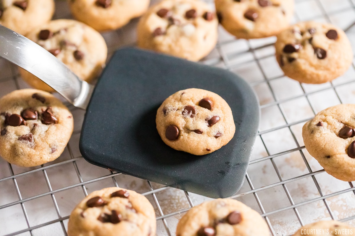 mini chocolate chip cookie on a cookie spatula with cookies around it on a cooling rack.