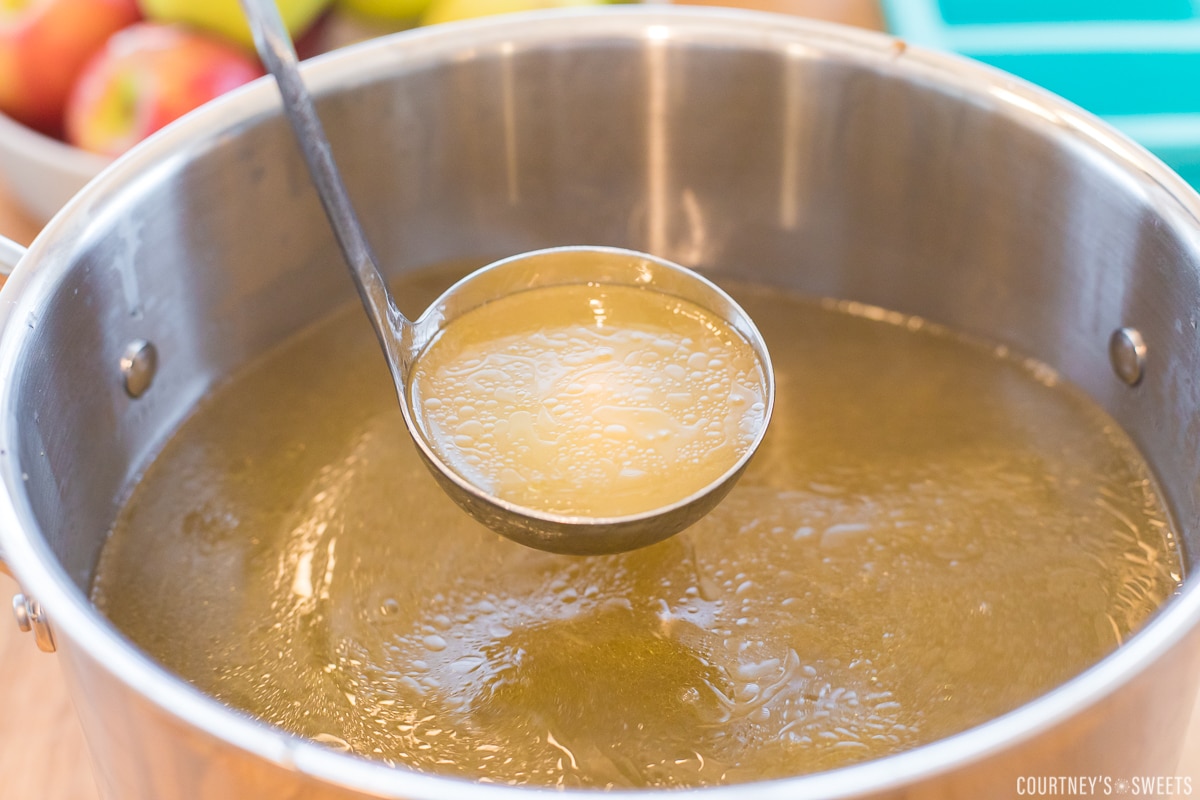 ladle showing chicken broth in a big pot of chicken broth.