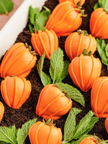 dirt cake with crushed oreos as dirt and mint as leaves with chocolate covered strawberries covered in orange candy melts as pumpkins.