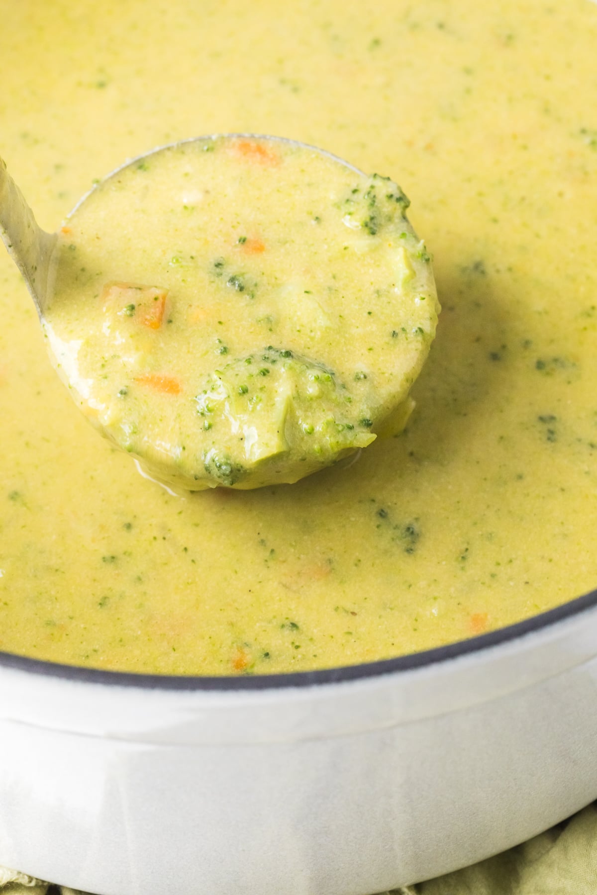 broccoli cheddar soup