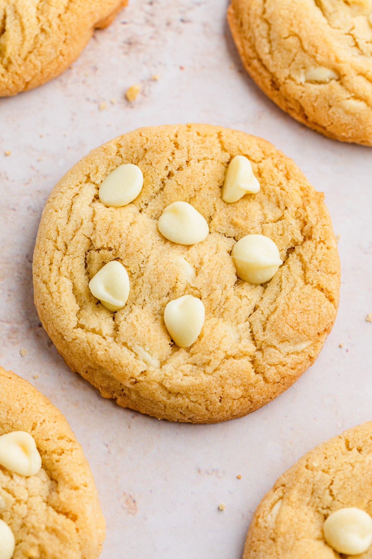perfect white chocolate chip cookies