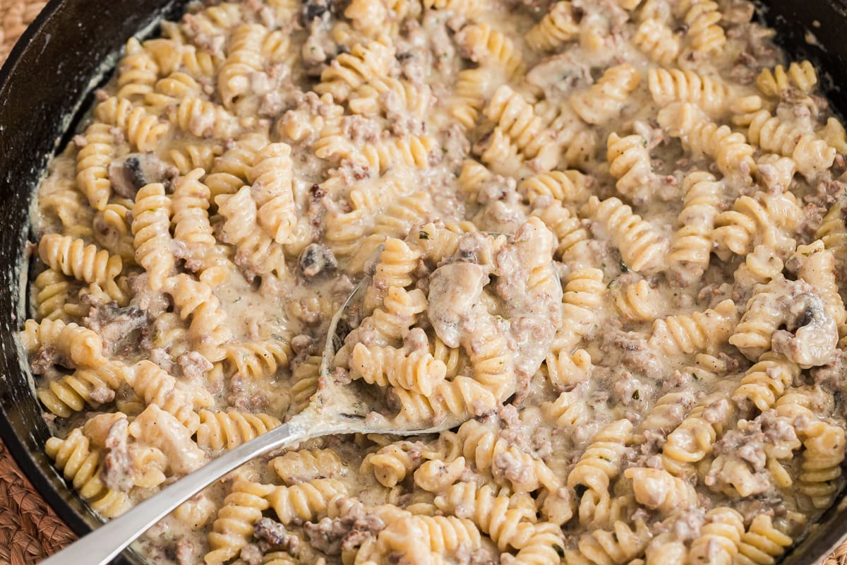 close up of beef stroganoff.