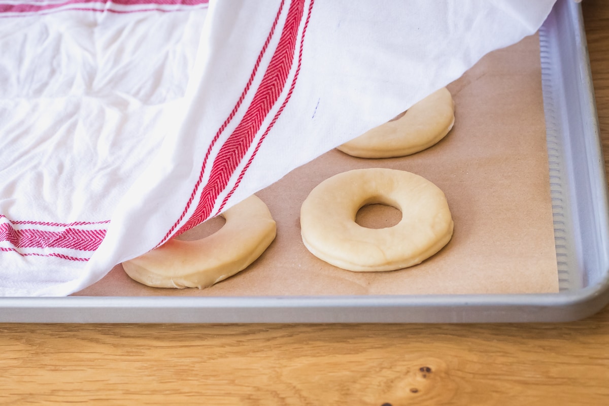 raw donuts on a parchment lined baking sheet covered with a wet cloth to rise.