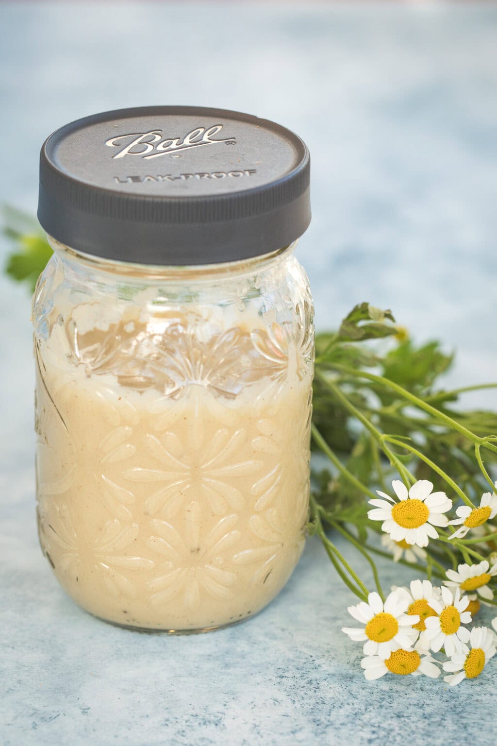 Condensed Cream of Chicken Soup - Courtney's Sweets