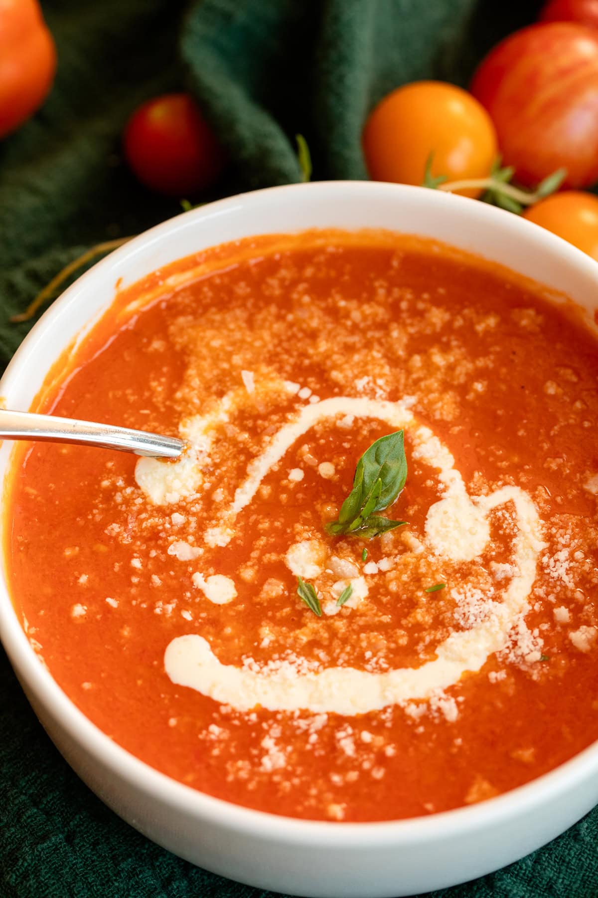 Bowl of homemade roasted tomato soup garnished with basil, cream drizzle, and Parmesan, surrounded by fresh garden tomatoes.