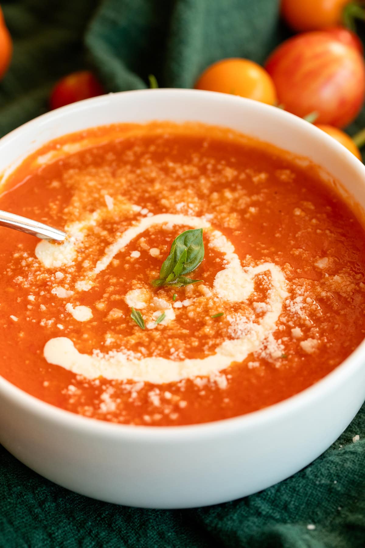 Close-up of creamy roasted tomato soup in a white bowl, topped with a swirl of cream, fresh basil, and Parmesan cheese.