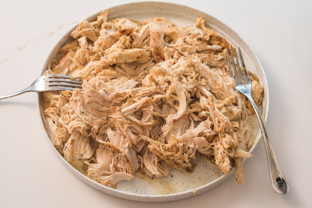 Tender shredded chicken on a plate, ready to be mixed back into the thick gravy.
