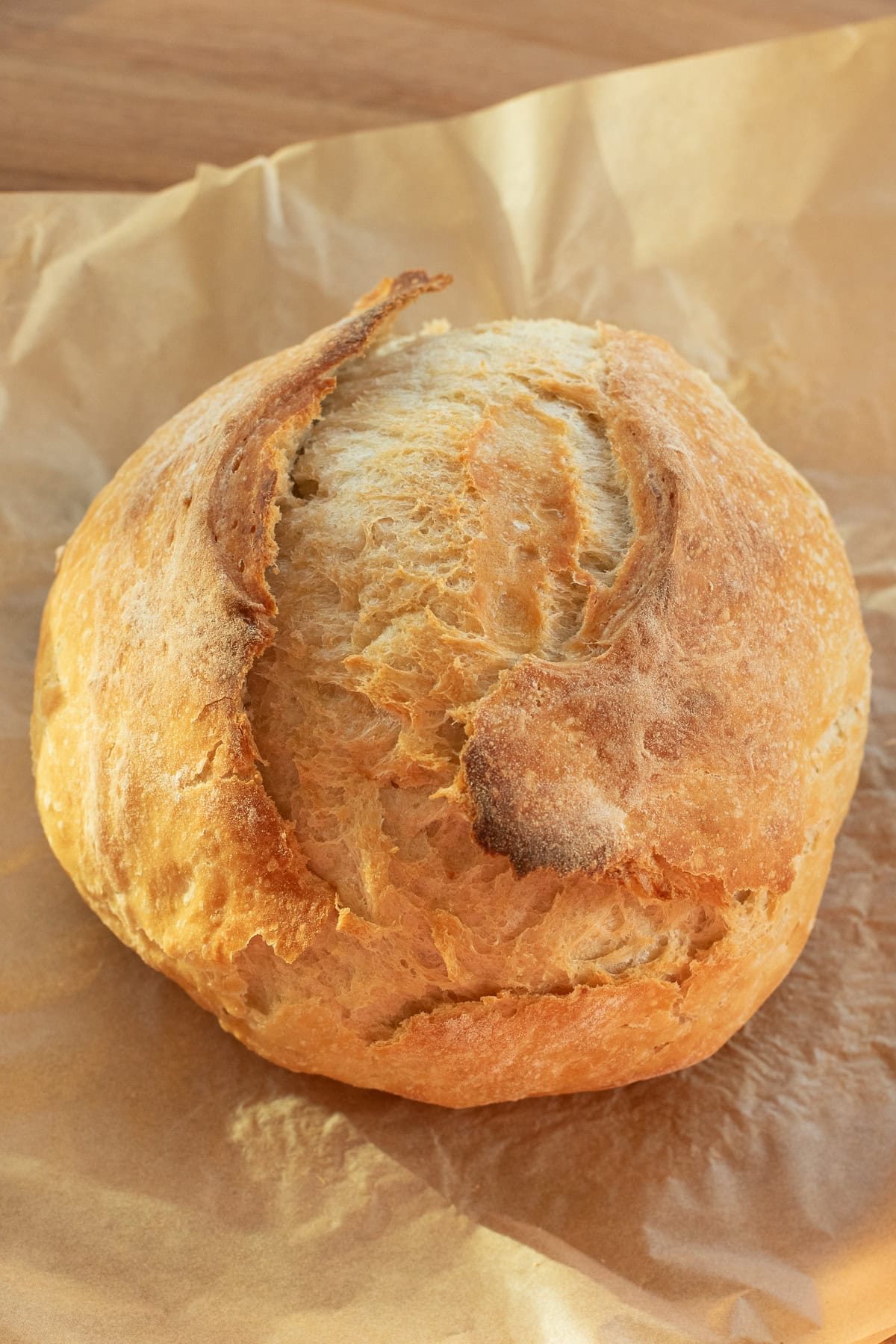 Crusty round loaf of homemade no-knead bread on parchment paper.