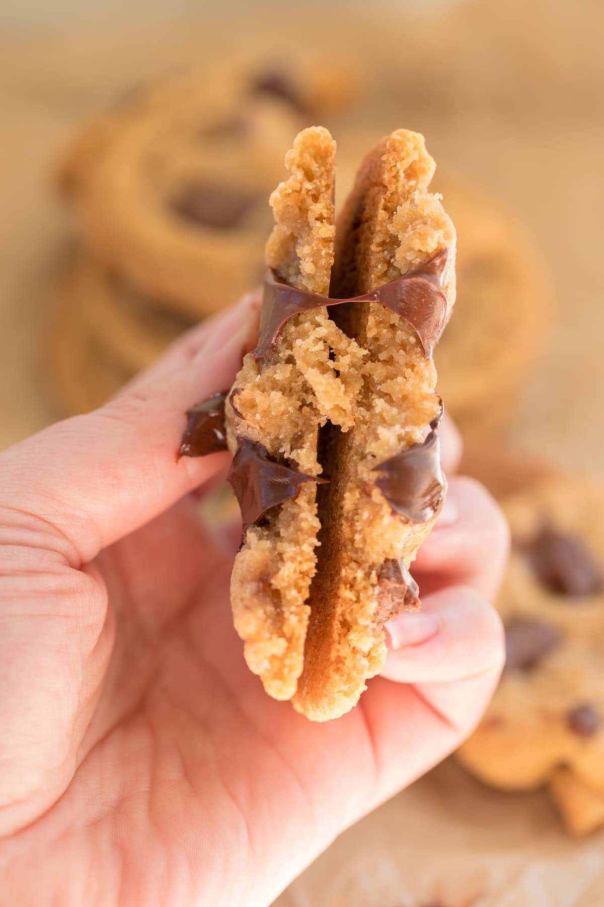 Hand holding cookie broken in half to show inside of it with melty chocolate chips.