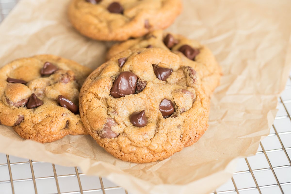 Homemade chocolate chip cookies baked with fresh milled soft white wheat flour.