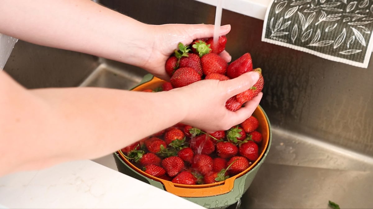 hands holding fresh picked strawberries rinsing.