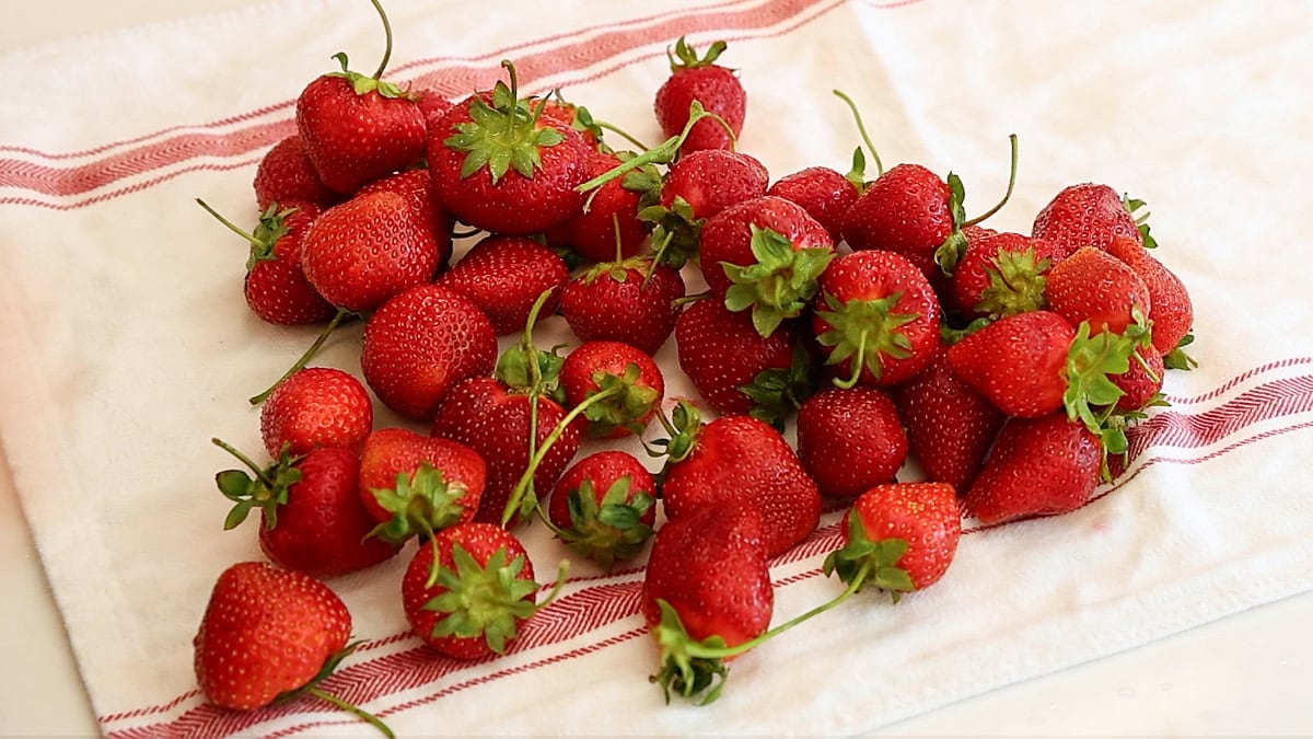 strawberries drying on towel.