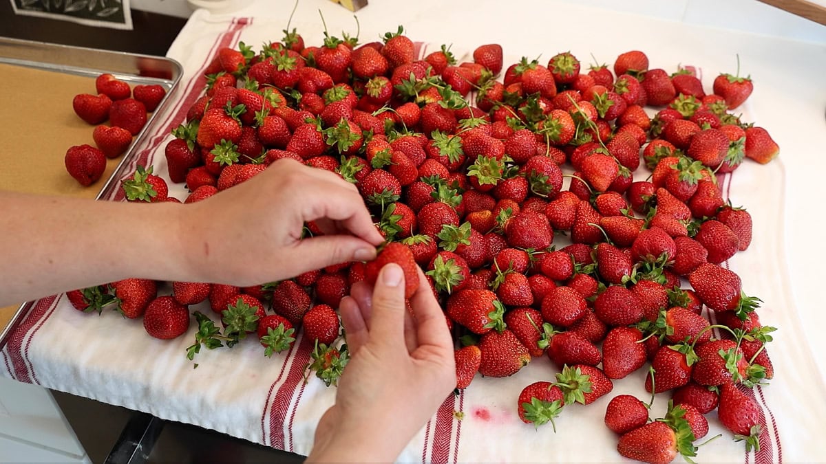 hands removing strawberry tops, hulls.