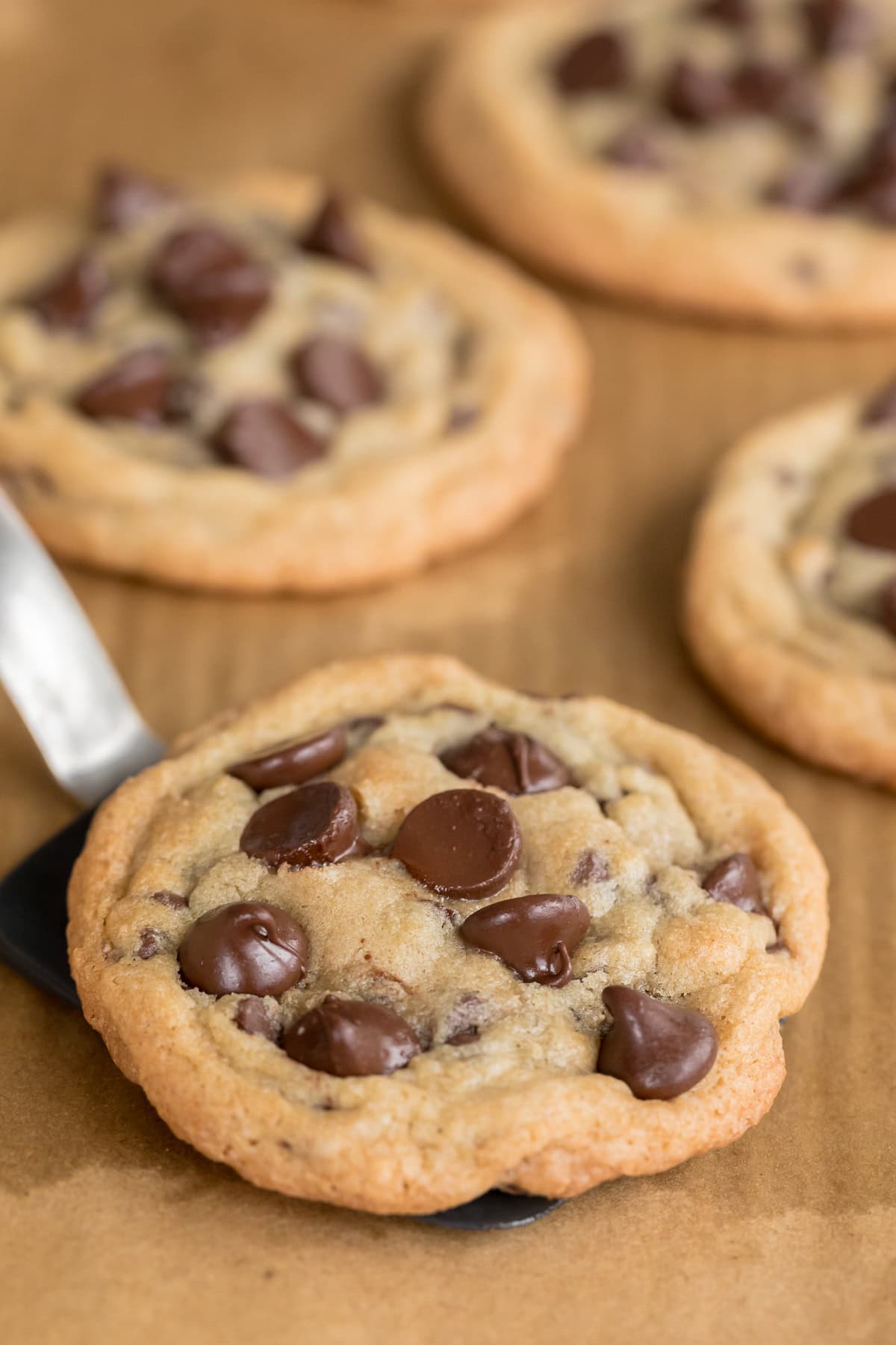Freshly baked gluten-free chocolate chip cookies with crisp golden edges, soft centers, and melted chocolate chips on a spatula.