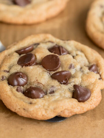 Thick, chewy gluten-free chocolate chip cookie with gooey chocolate chips resting on a spatula after baking.