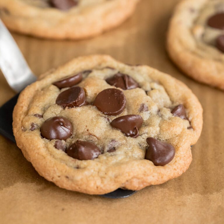 Thick, chewy gluten-free chocolate chip cookie with gooey chocolate chips resting on a spatula after baking.
