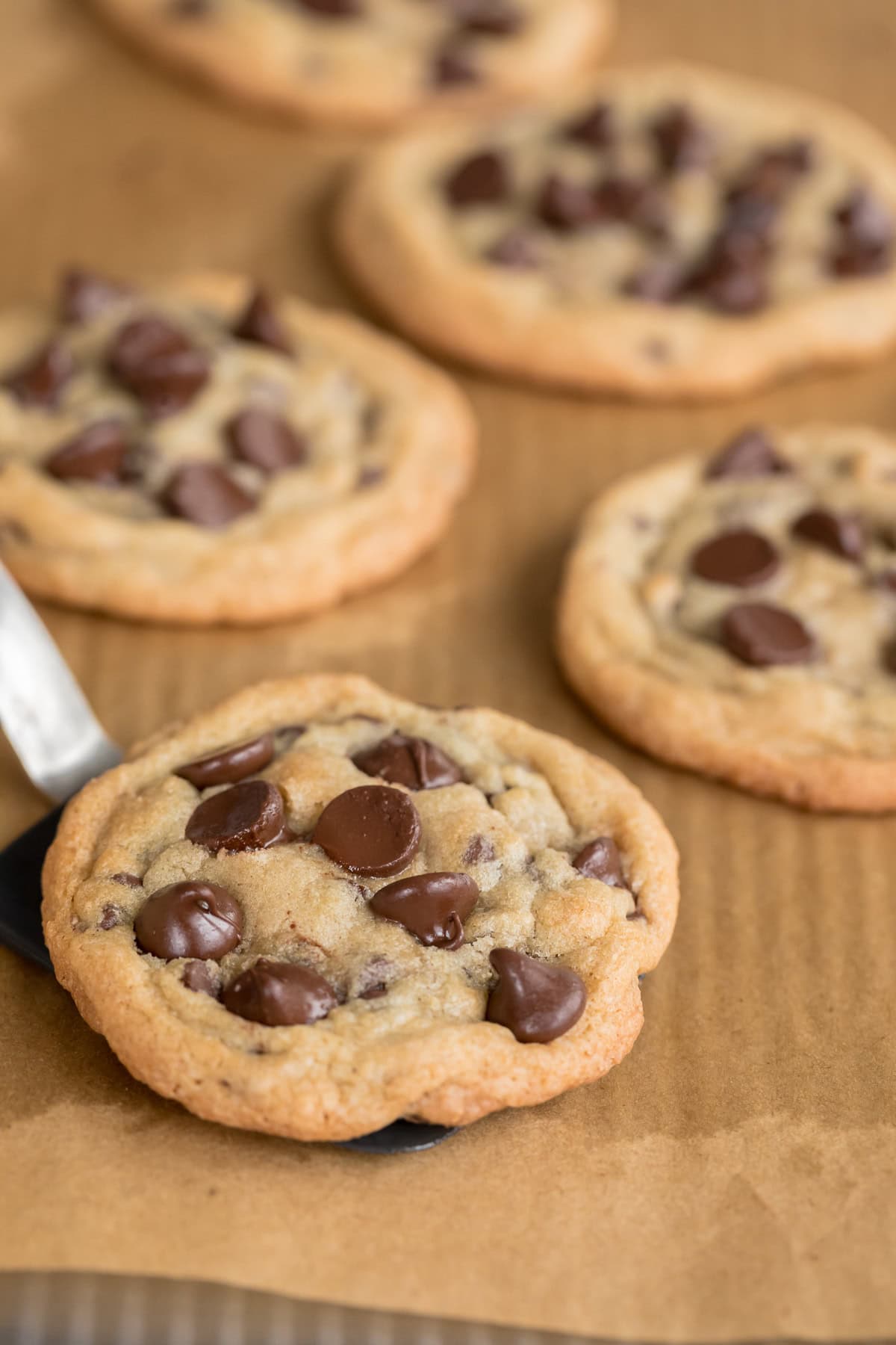 Homemade gluten-free chocolate chip cookies cooling on parchment paper with one soft cookie featured in the foreground.