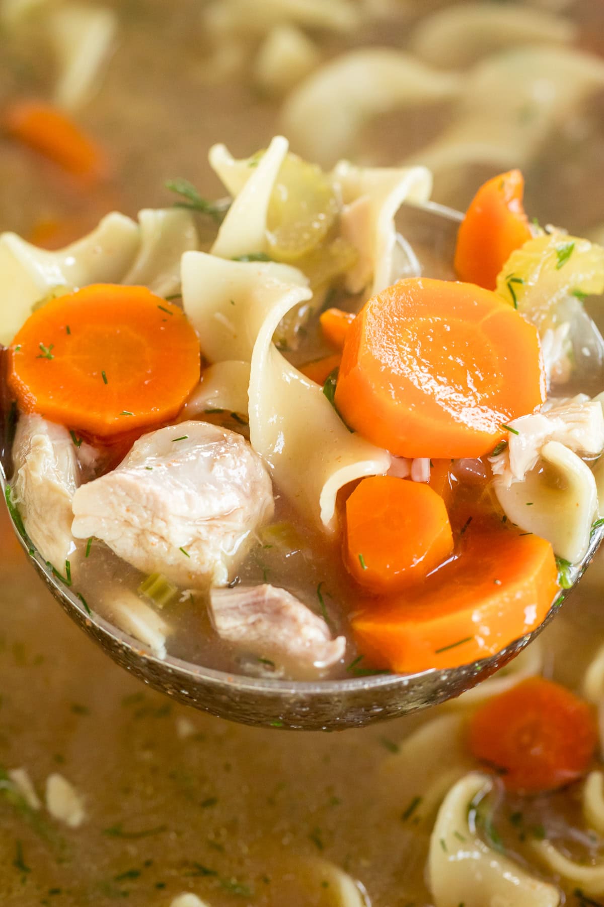 Ladle of crockpot chicken noodle soup with tender chicken, egg noodles, carrots, and celery in savory broth.