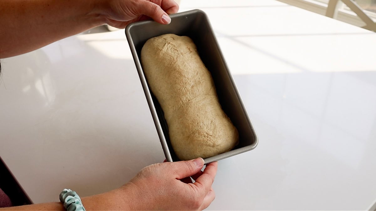 shaped fresh milled flour bread dough in loaf pan.